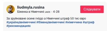 Українську біженку шокували німецьки штрафи за вбивство чорно-жовтих ос - інфографіка — фото 1