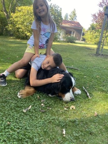 «Мріємо повернутися додому і відбудувати наш дім» - історія родини біженців з Київщини, будинок якої розбомбив російський снаряд — фото 5