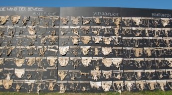 У Швейцарії закопали 2 000 пар трусів заради науки: що показав експеримент — фото 1