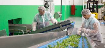 Свидетельство о работе в Польше: что это и зачем оно украинцам