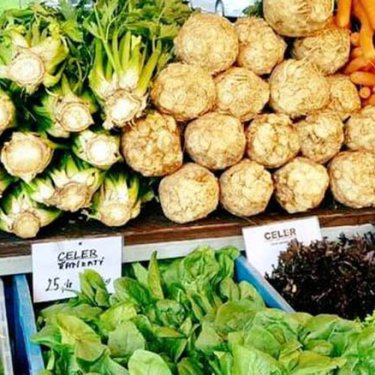 Фермерські ринки у Празі: де купити недорогі та якісні продукти