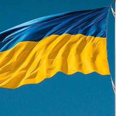 В Литве четверо человек осквернили украинский флаг