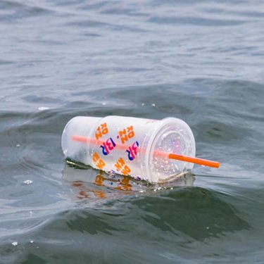 В Польше теперь запрещено продавать 9 видов одноразовых пластиковых изделий