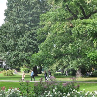 У Ризі запрошують на безкоштовну екскурсію Верманським садом