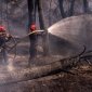 Пожарные Франции гасят лесной пожар