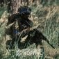 Боец ВСУ на позиции