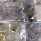 Чорні археологи знайшли давньоримську віллу, де могли гостювати імператори Адріан та Марк Аврелій