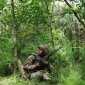Ворог посилив тиск на Гуляйпільському напрямку: оперативне зведення Генштабу ЗСУ 18 червня